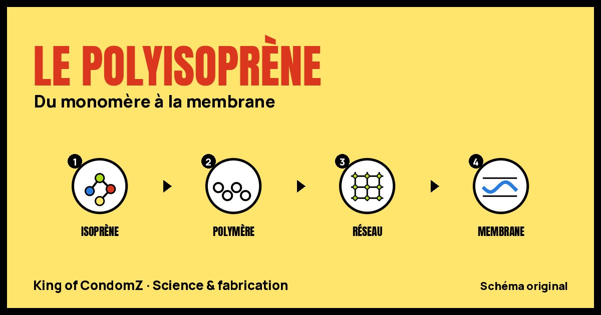 Schéma en quatre étapes du polyisoprène : isoprène, polymère, réseau réticulé, membrane.