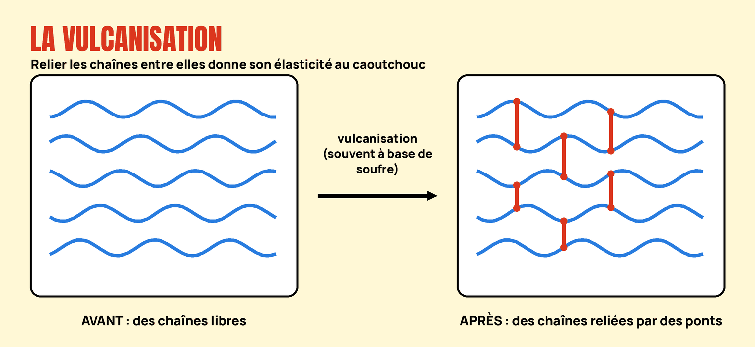 Deux schémas de chaînes de polymère : libres avant la vulcanisation, reliées par des ponts après.