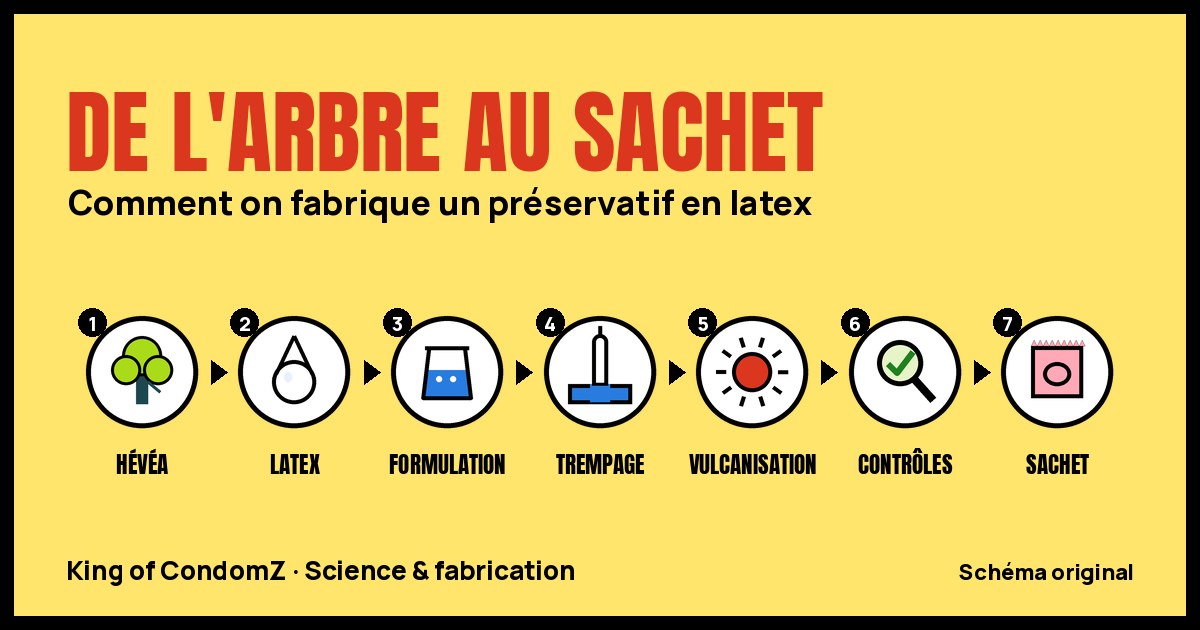 Schéma en sept étapes de la fabrication d'un préservatif en latex : hévéa, latex, formulation, trempage, vulcanisation, contrôles, sachet.